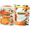 BASILUR Fruit Blood Orange plech 100g (4603)